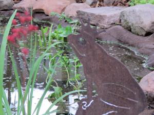 Juli_Froschkoenig Juli_Froschkoenig
