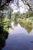 Nied bei Siersburg
