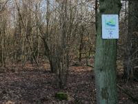 Tiefenbachpfad