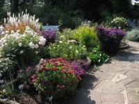 Zweibrcken - Rosengarten