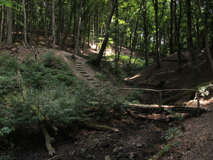 Wandern auf dem Tiefenbachpfad